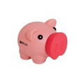 Pink Piggy Bank